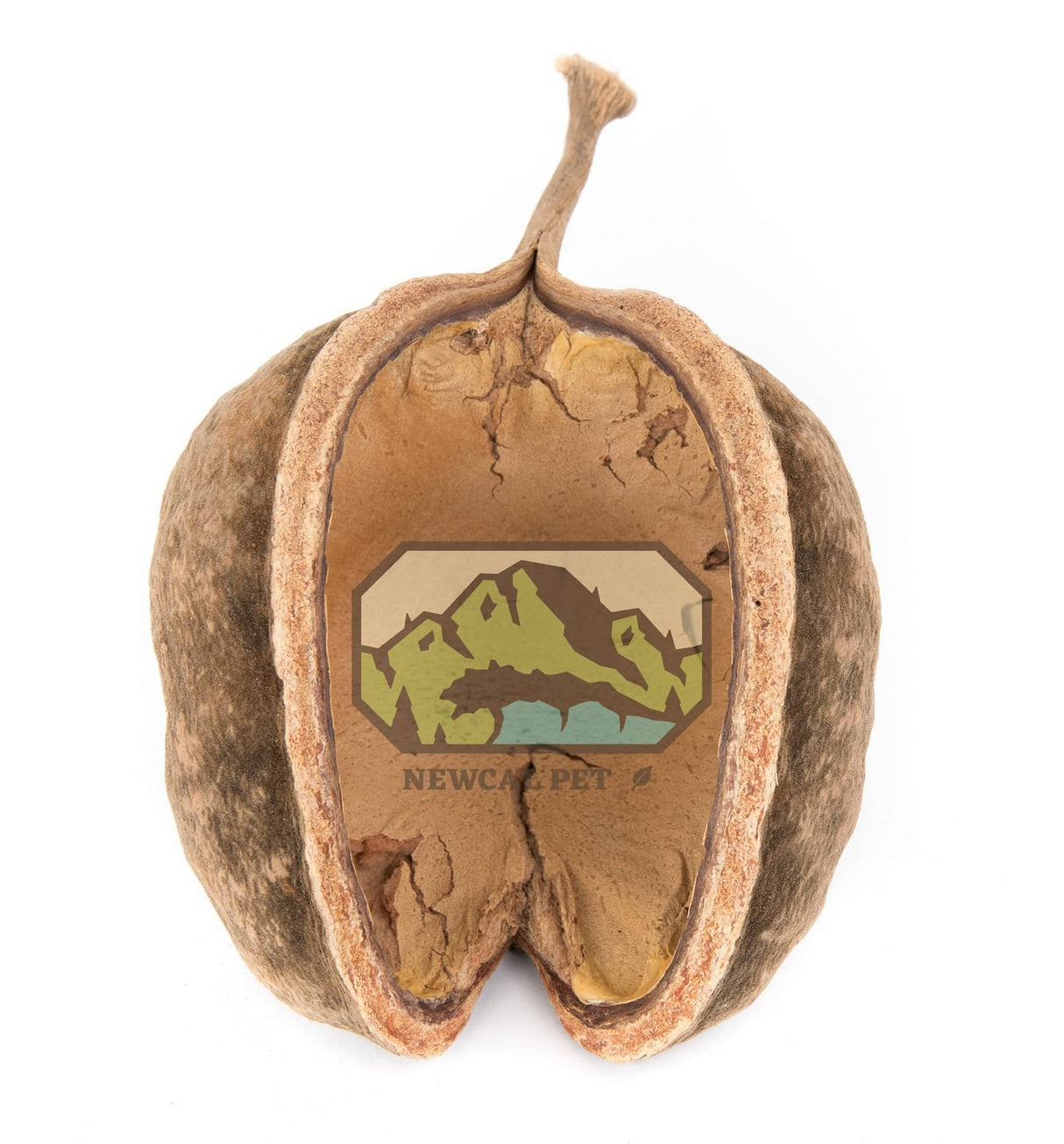 NewCal Buddha Nut Natural | Botanicals | Largest Tropical Fish Selection at Your Local Fish Store