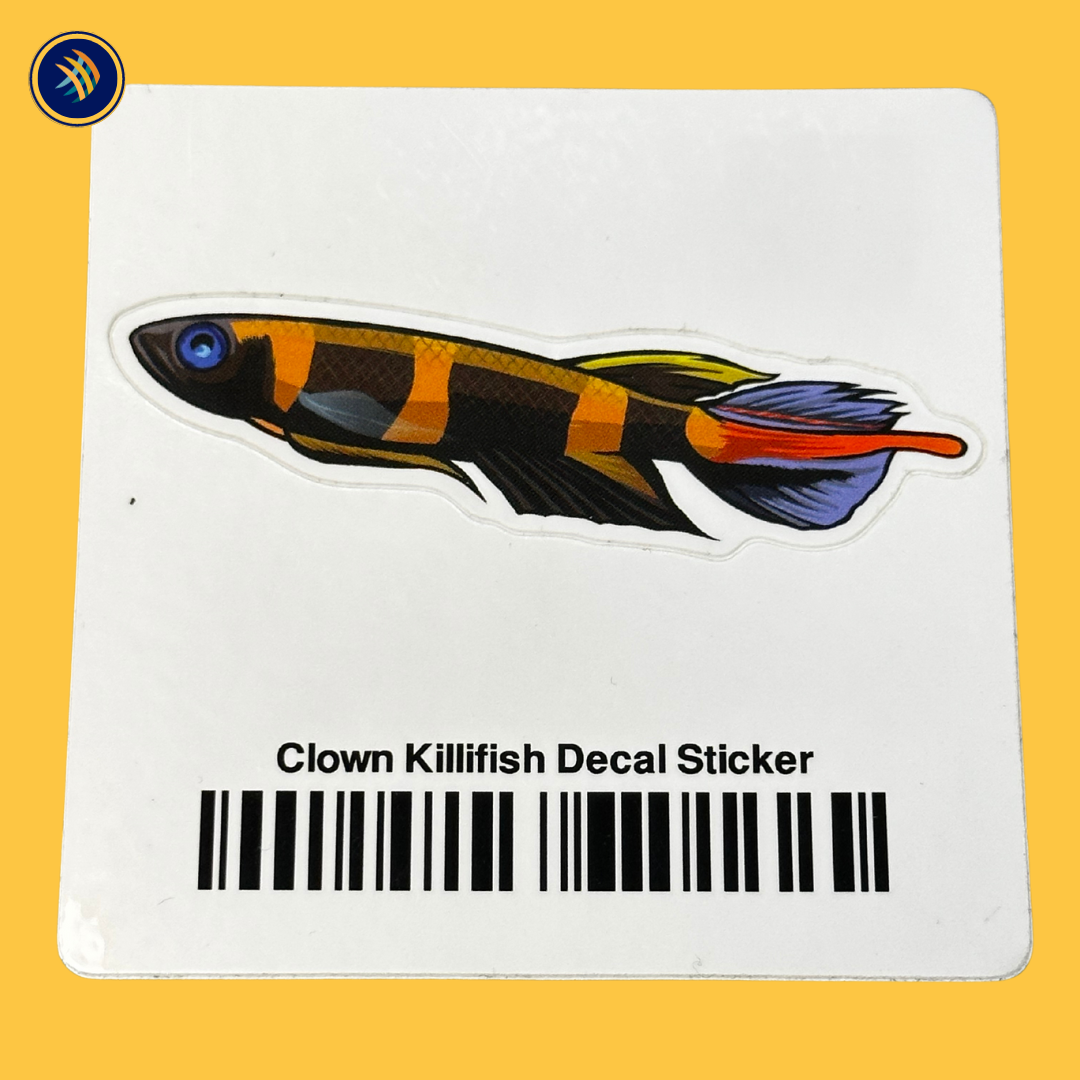 Aquarium Co-Op Fish Sticker Decals | Decoration | Largest Tropical Fish Selection at Your Local Fish Store