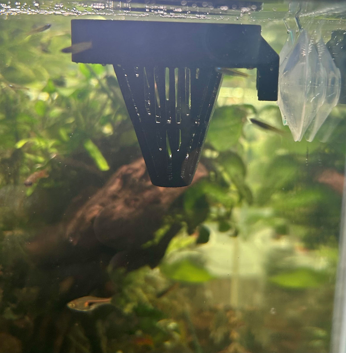 Aquarium Co-Op Easy Feeding Basket & Ring