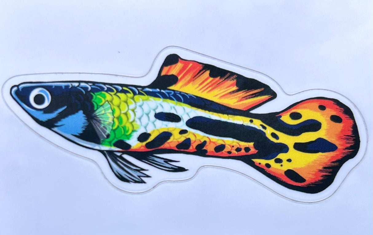 Aquarium Co-Op Fish Sticker Decals | Decoration | Largest Tropical Fish Selection at Your Local Fish Store
