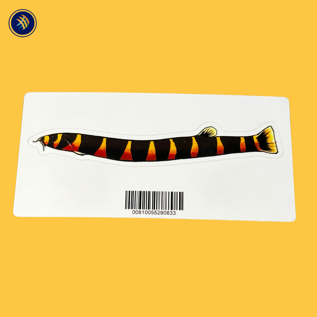 Aquarium Co-Op Fish Sticker Decals | Decoration | Largest Tropical Fish Selection at Your Local Fish Store
