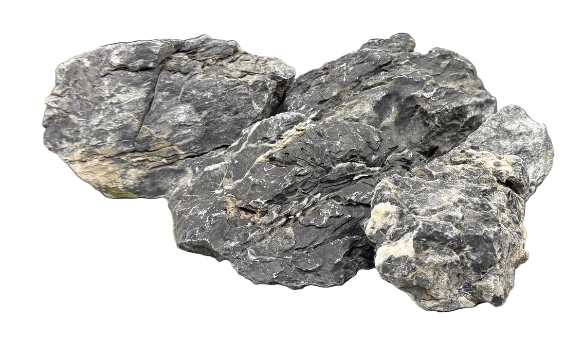 Black Mountain Seiryu Stone Bundle