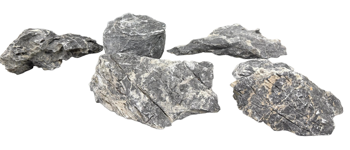 Black Mountain Seiryu Stone Bundle