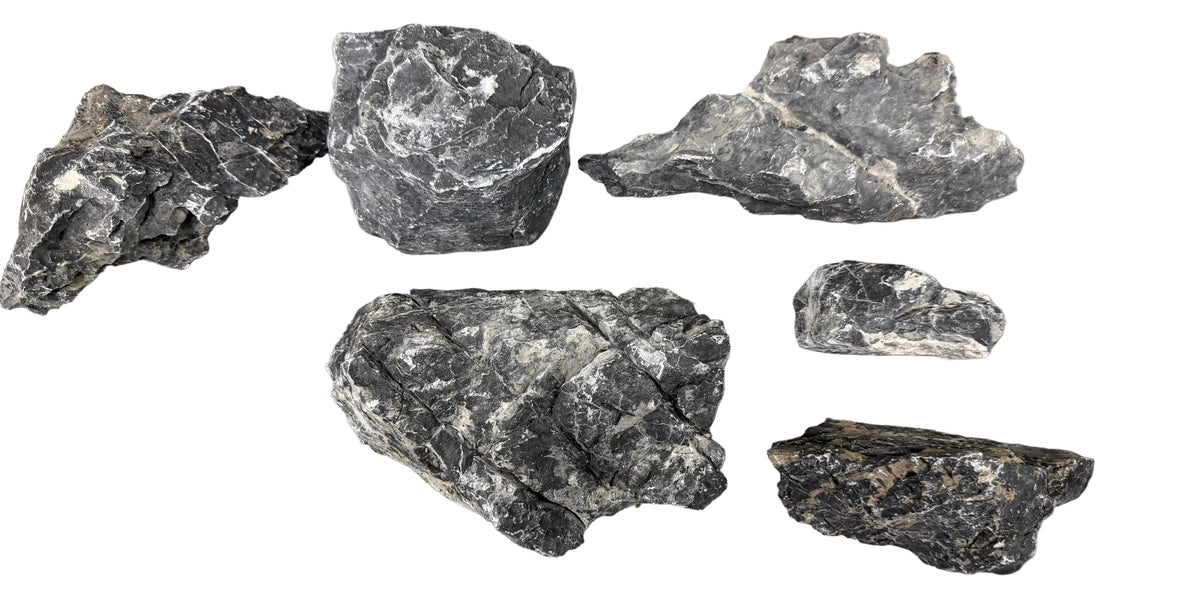 Black Mountain Seiryu Stone Bundle