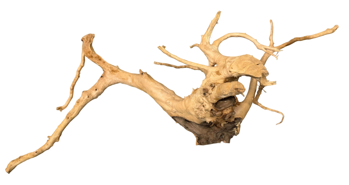 Piece of Spiderwood