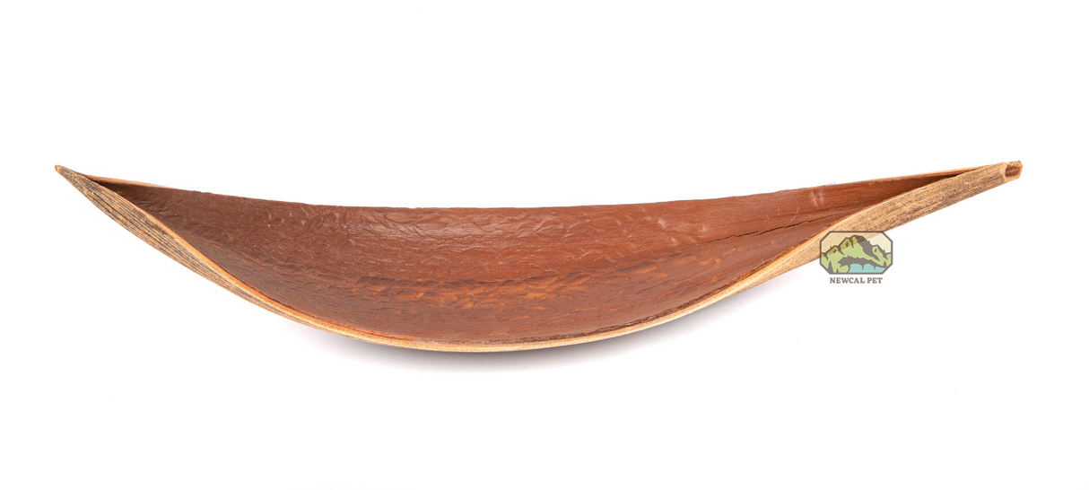 NewCal Coco Dish 16"-20" | Botanicals | Largest Tropical Fish Selection at Your Local Fish Store