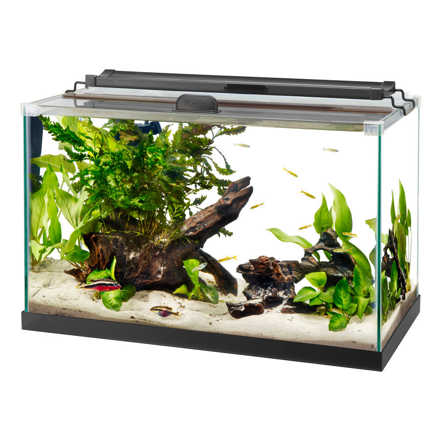 Aqueon Glass Rectangle Rimless Aquarium | Aquariums & Stands | Largest Tropical Fish Selection at Your Local Fish Store