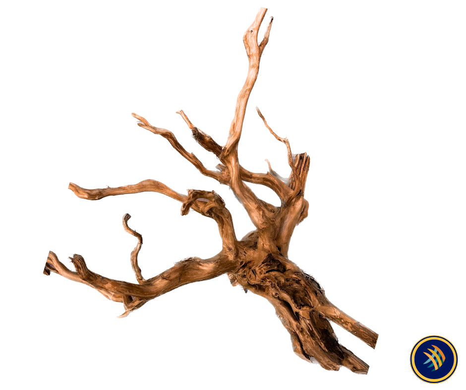 Red Moor Spider Driftwood | Substrates & Hardscape | Largest Tropical Fish Selection at Your Local Fish Store