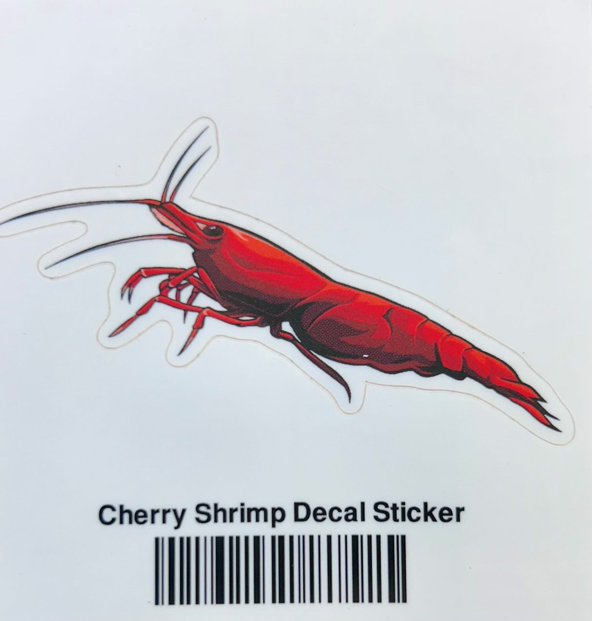 Aquarium Co-Op Fish Sticker Decals | Decoration | Largest Tropical Fish Selection at Your Local Fish Store