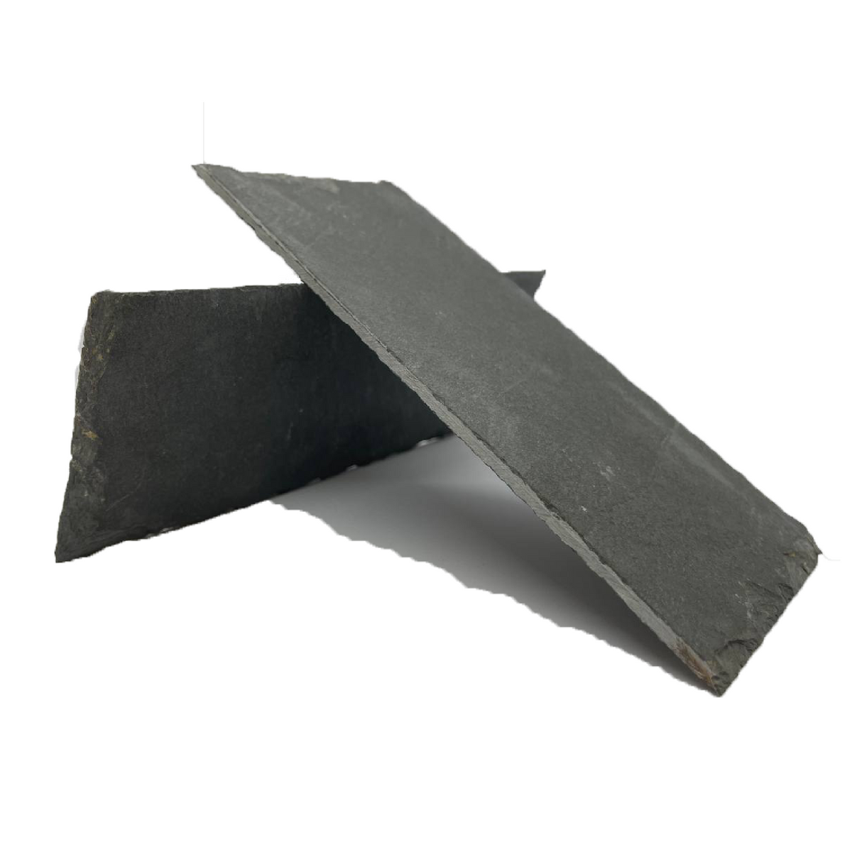 Pleco Ceramics Slate DIY Feeding Stone | Decoration | Largest Tropical Fish Selection at Your Local Fish Store