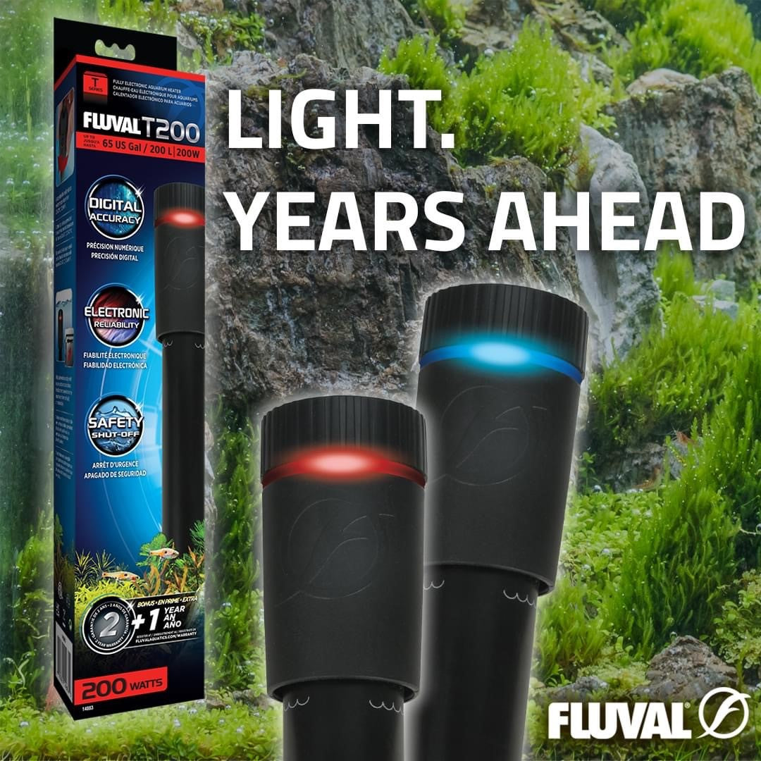Fluval T-Series Aquarium Heaters | Lighting & Heating | Largest Tropical Fish Selection at Your Local Fish Store