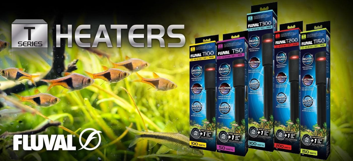 Fluval T-Series Aquarium Heaters | Lighting & Heating | Largest Tropical Fish Selection at Your Local Fish Store