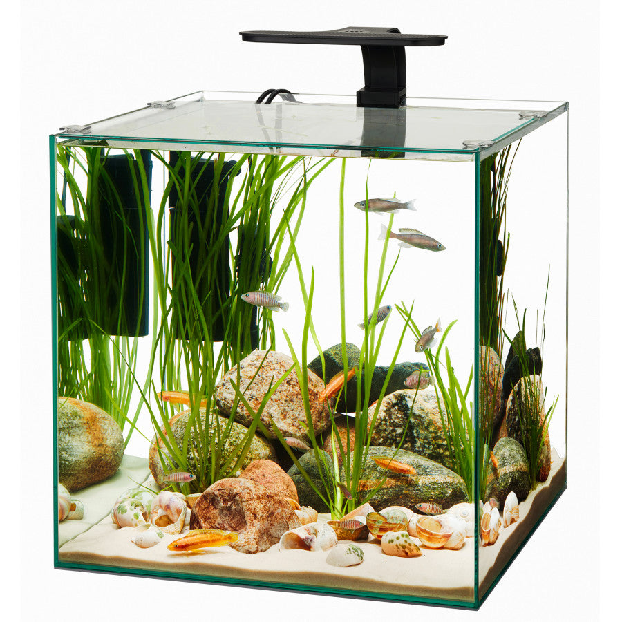 Aqueon Rimless Cube Aquarium c/w glass lid & mat | Aquariums | Largest Tropical Fish Selection at Your Local Fish Store