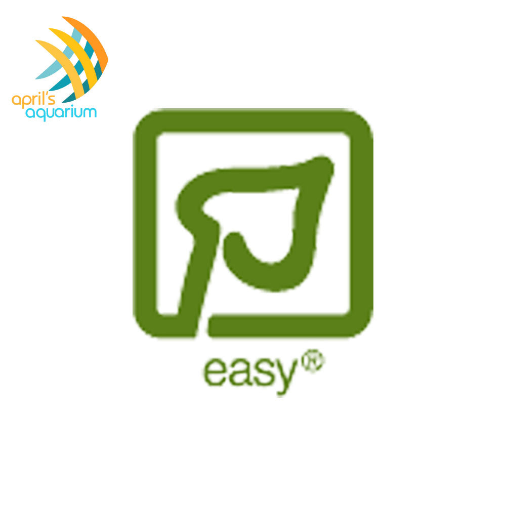 Anubias Barteri Var. Nana on Coconut Shell 510 YCS | Potted Plants | Largest Tropical Fish Selection at Your Local Fish Store