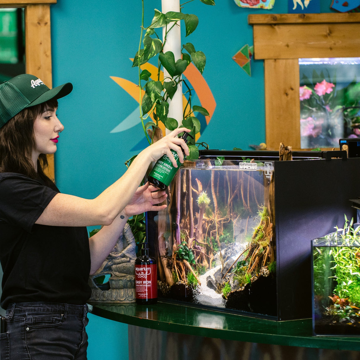 Aquarium Co-Op Easy Green All-in-One Fertilizer | Fertilizer | Largest Tropical Fish Selection at Your Local Fish Store