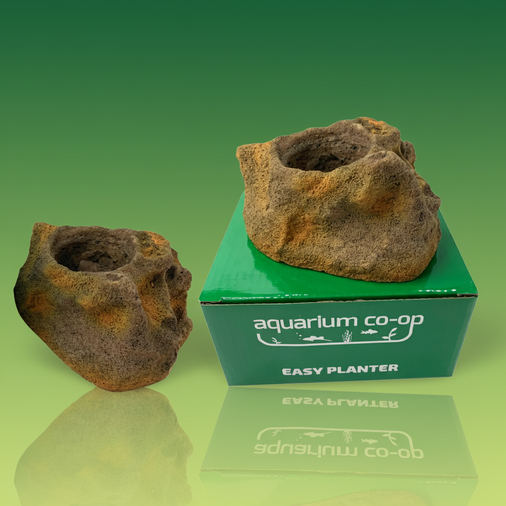 Aquarium Co-Op Easy Planter | Potted Plants | Largest Tropical Fish Selection at Your Local Fish Store