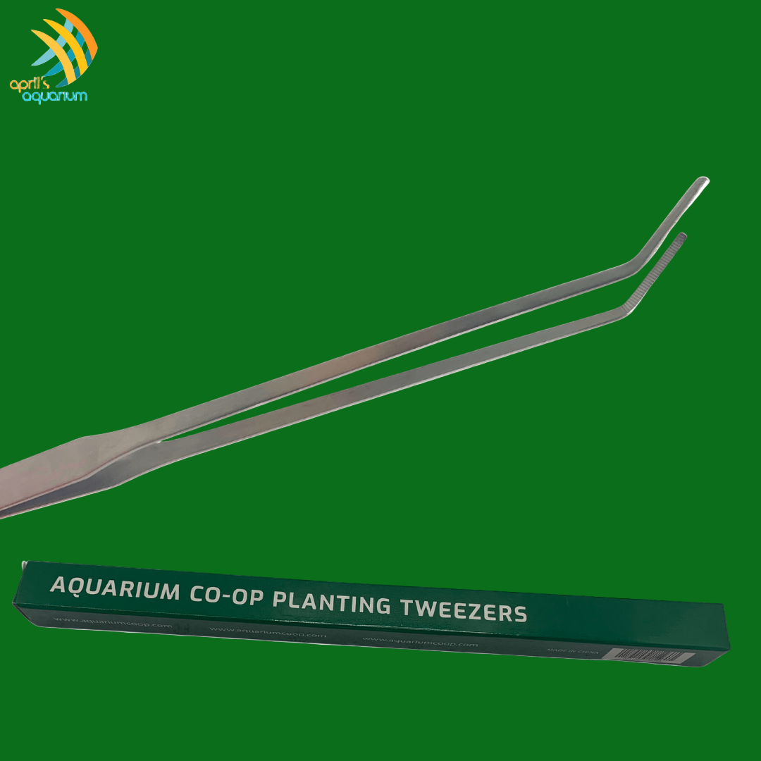 Aquarium Co-Op Planting Tweezers | Aquascaping Tools | Largest Tropical Fish Selection at Your Local Fish Store
