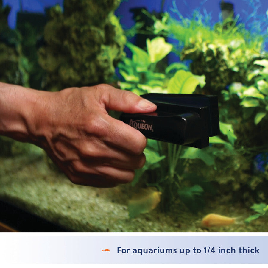 Aqueon Cleaning Magnets | Water Care & Treatment | Largest Tropical Fish Selection at Your Local Fish Store