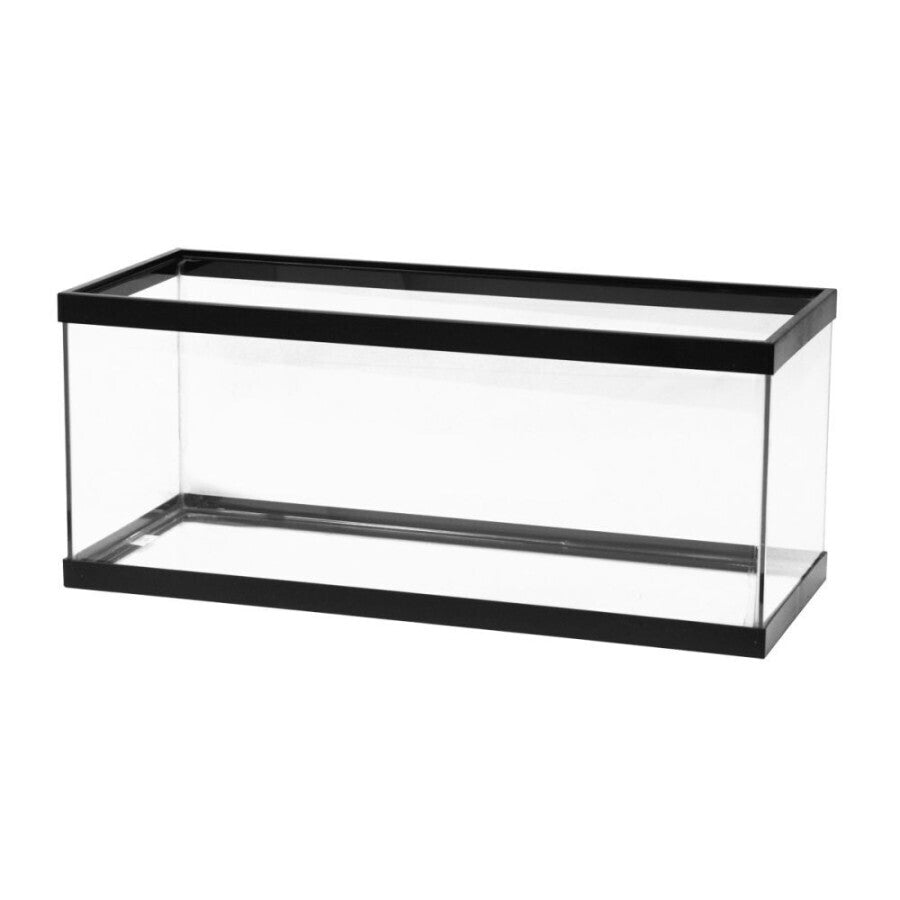 Aqueon Glass Rimmed Aquariums / Tanks | Aquariums | Largest Tropical Fish Selection at Your Local Fish Store
