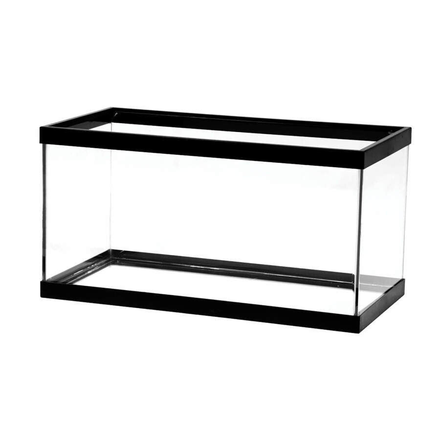 Aqueon Glass Rimmed Aquariums / Tanks | Aquariums | Largest Tropical Fish Selection at Your Local Fish Store