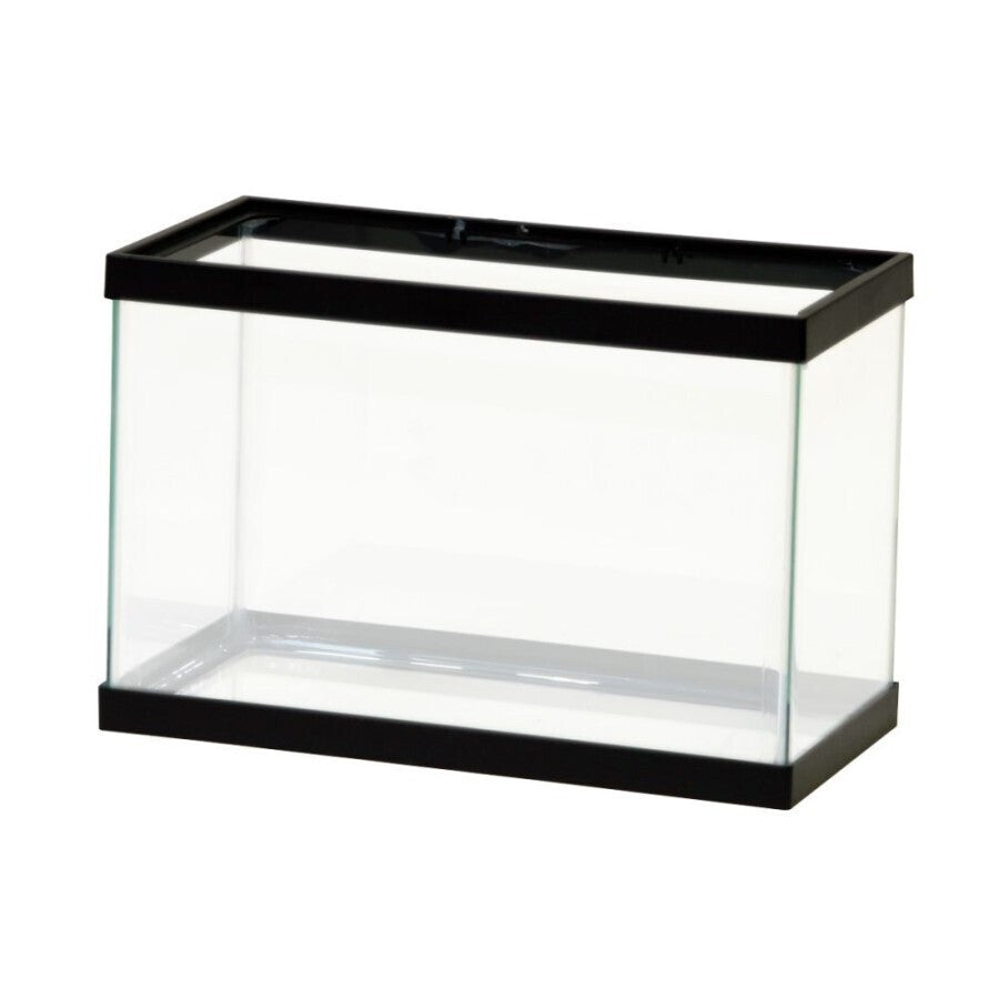 Aqueon  Glass Aquarium / Tank