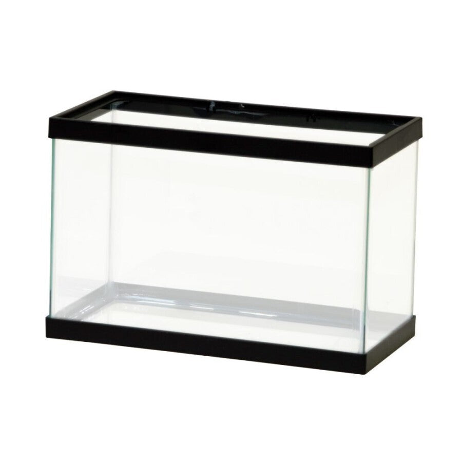Aqueon Glass Rimmed Aquariums / Tanks | Aquariums | Largest Tropical Fish Selection at Your Local Fish Store