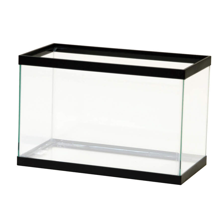 Aqueon Glass Rimmed Aquariums / Tanks | Aquariums | Largest Tropical Fish Selection at Your Local Fish Store