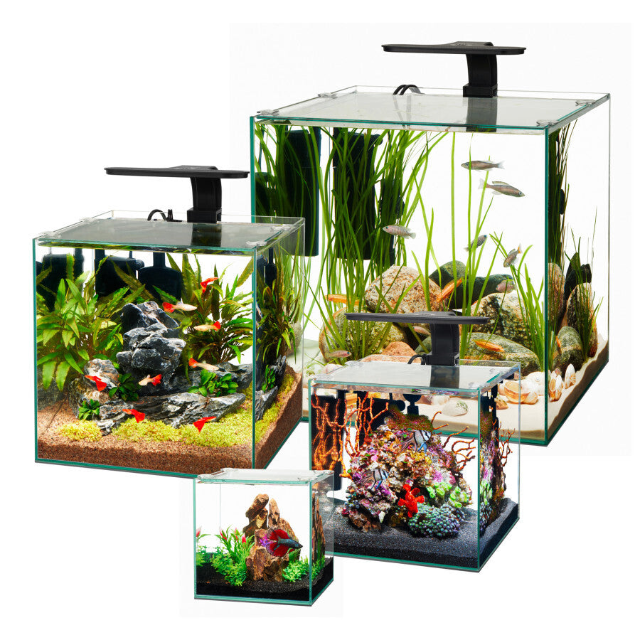 Aqueon Rimless Cube Aquarium c/w glass lid & mat | Aquariums | Largest Tropical Fish Selection at Your Local Fish Store