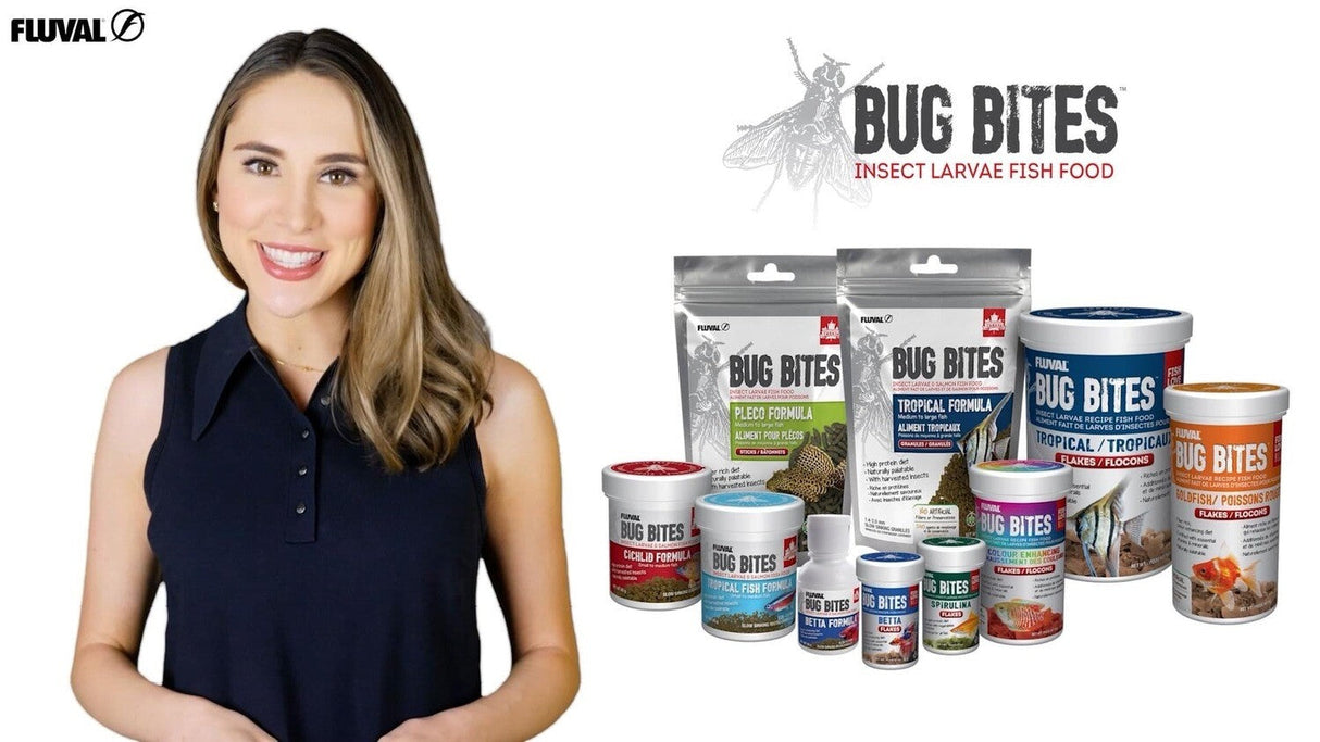 Bug Bites Tropical Fish Formula A6355 Med- Large 1.4-1.6 mm granules - 45 g | Livestock Food | Largest Tropical Fish Selection at Your Local Fish Store