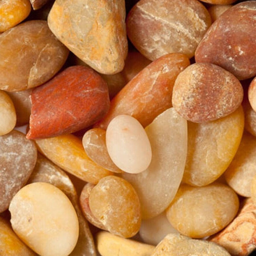 Caribsea Gravel Jelly Beans 20lb | Substrates & Hardscape | Largest Tropical Fish Selection at Your Local Fish Store