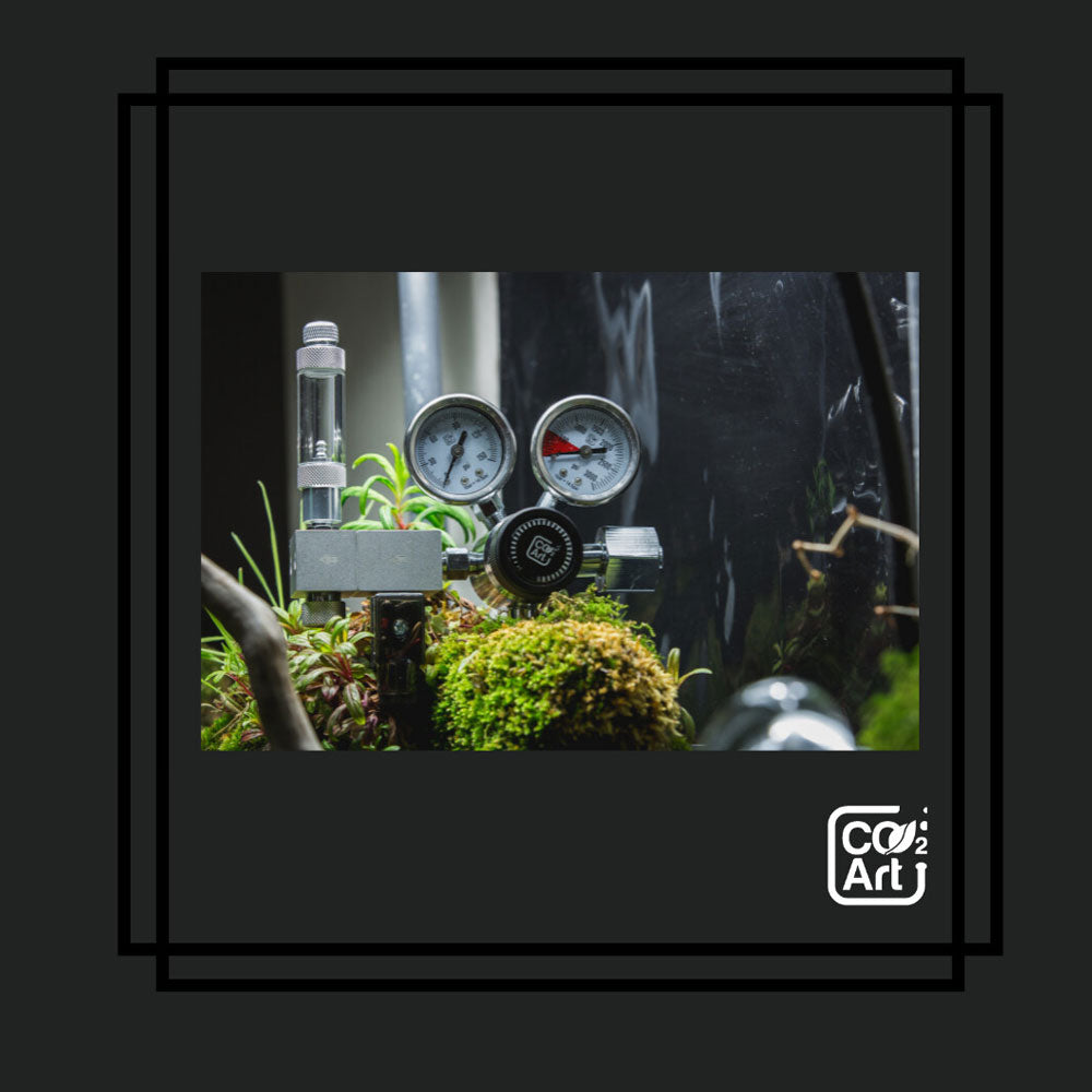 Co2 Art PRO-ELITE SERIES CO2 REGULATOR - W21.8×14 | CO2 Supplies | Largest Tropical Fish Selection at Your Local Fish Store