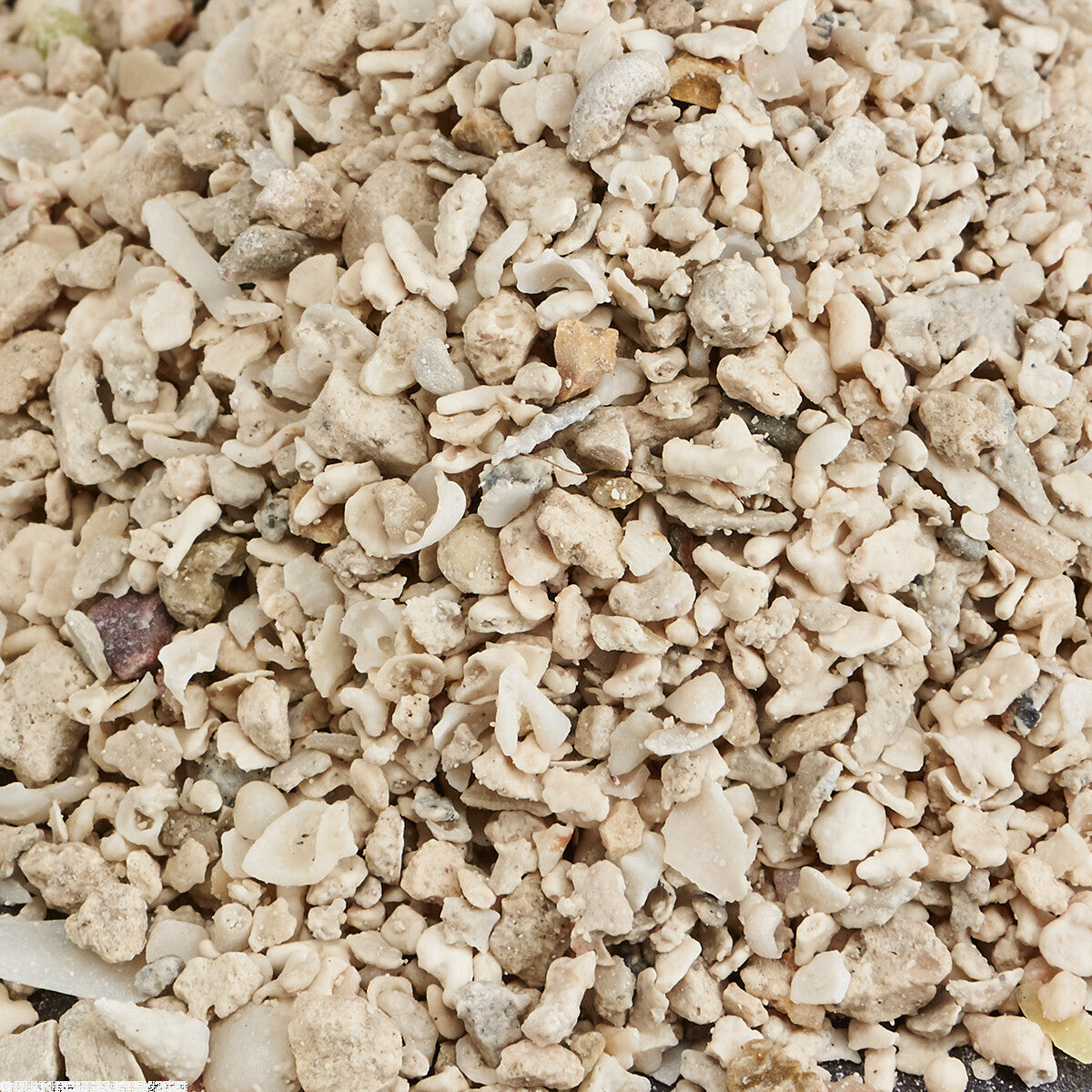 Crushed Coral | Substrates & Hardscape | Largest Tropical Fish Selection at Your Local Fish Store
