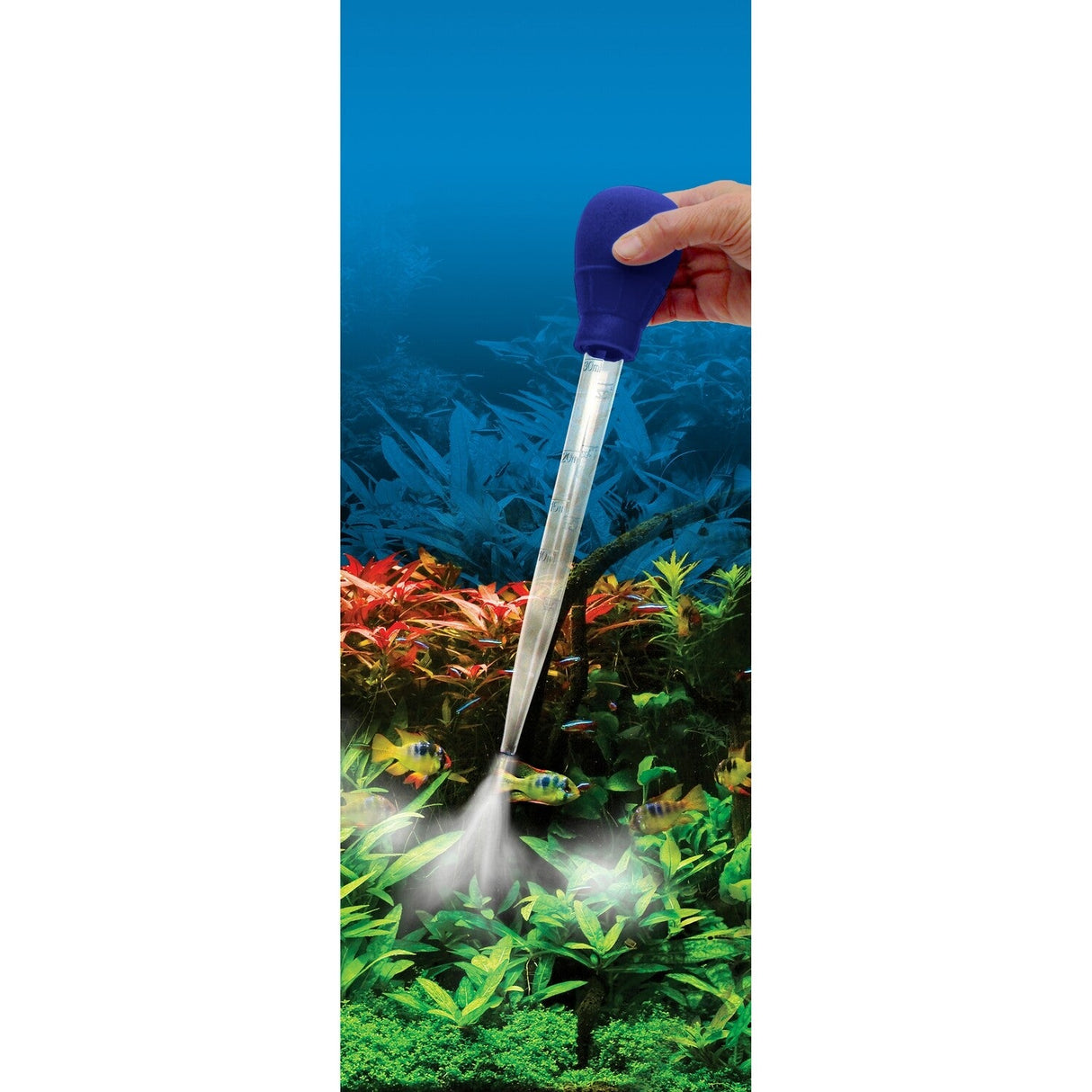 Fluval 3-1 Waste Remover / Feeder | Livestock Food | Largest Tropical Fish Selection at Your Local Fish Store