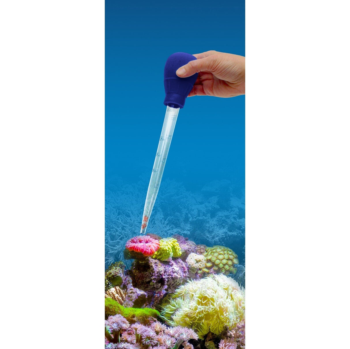 Fluval 3-1 Waste Remover / Feeder | Livestock Food | Largest Tropical Fish Selection at Your Local Fish Store