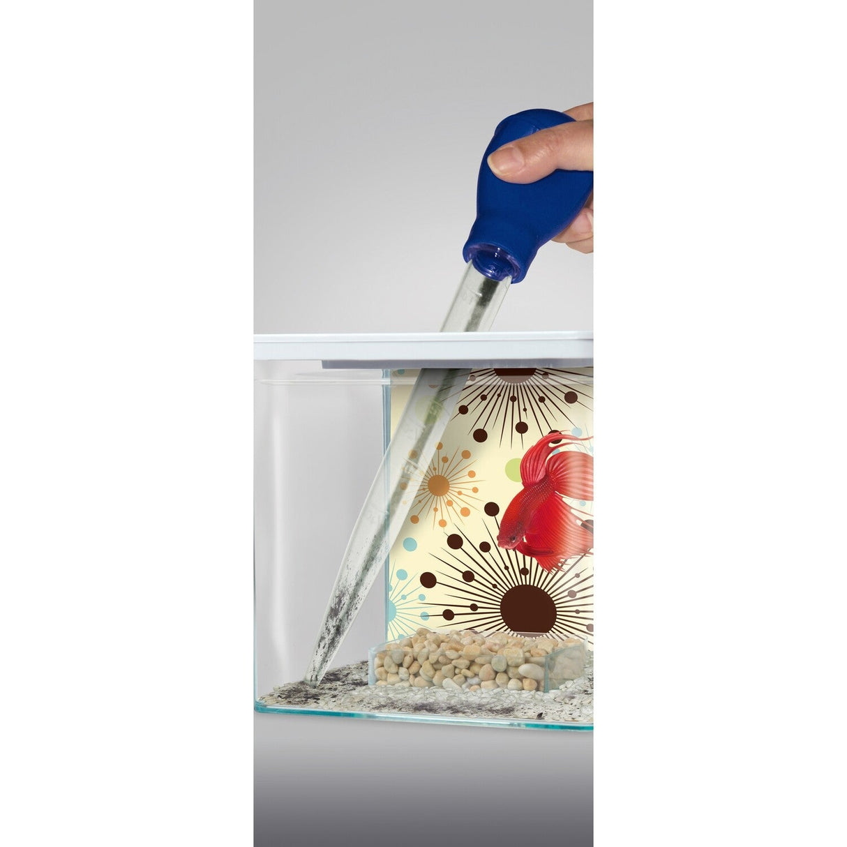 Fluval 3-1 Waste Remover / Feeder | Livestock Food | Largest Tropical Fish Selection at Your Local Fish Store