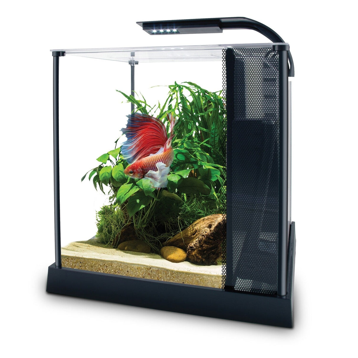 Fluval Betta Kit 10L (2.6 gal) 10498 | Aquariums | Largest Tropical Fish Selection at Your Local Fish Store