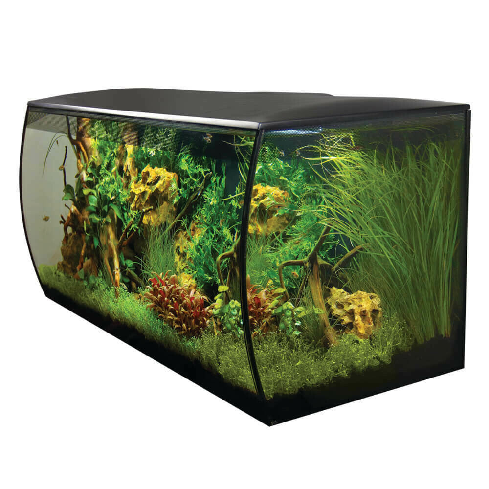 Fluval Flex Aquarium 32 Gallon | Aquariums | Largest Tropical Fish Selection at Your Local Fish Store