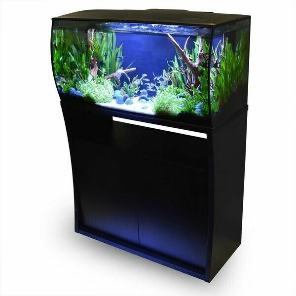 Fluval Flex Aquarium 32 Gallon | Aquariums | Largest Tropical Fish Selection at Your Local Fish Store