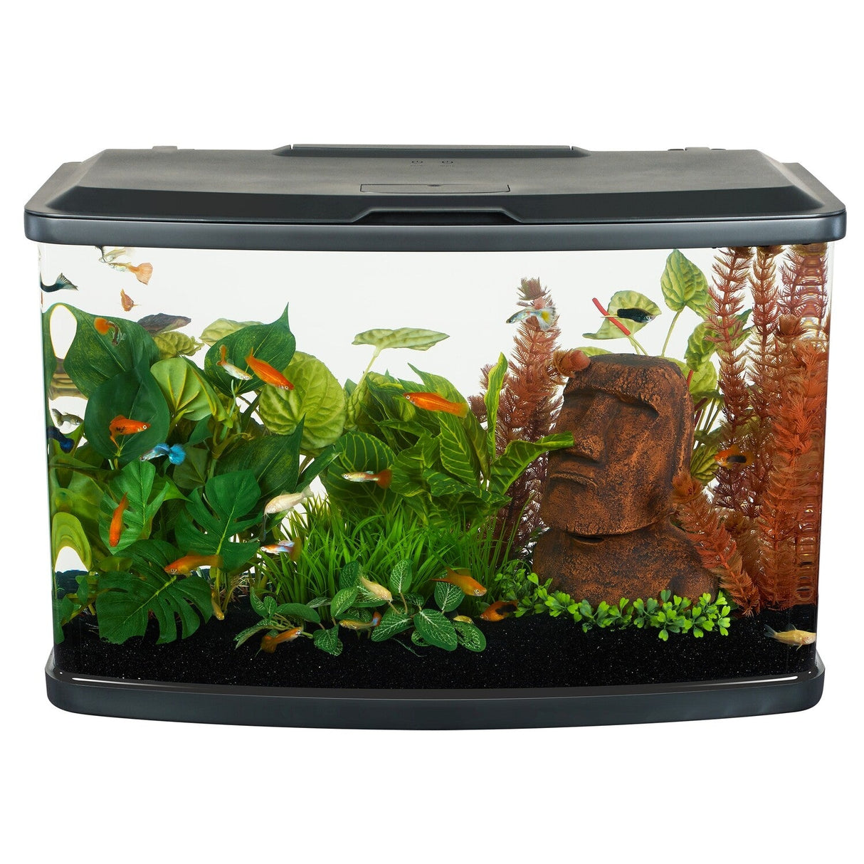 Fluval Vista Aquarium Kit 16 Gallon (60L) 15245 | Aquariums | Largest Tropical Fish Selection at Your Local Fish Store