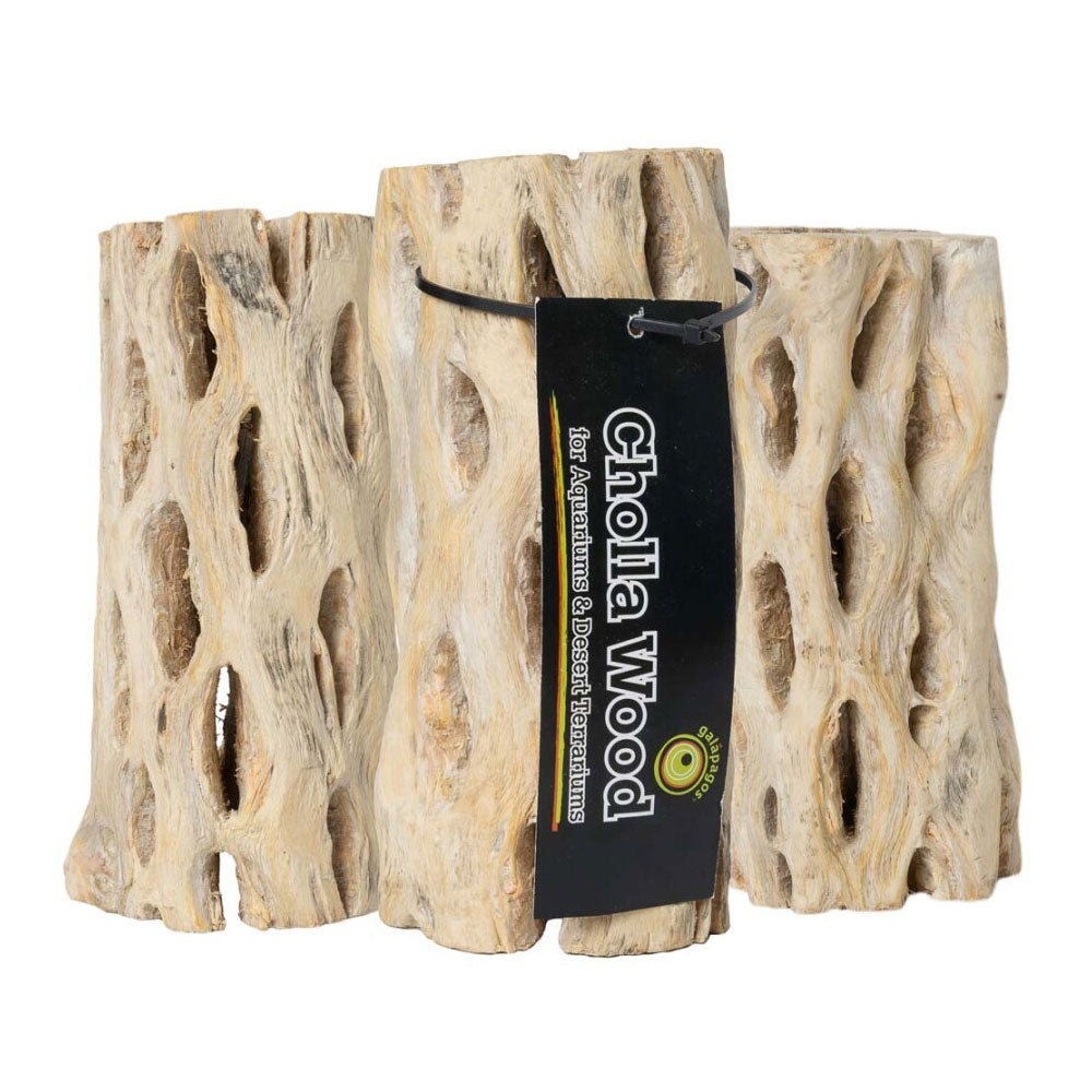 Cholla Natural Wood Branches | Botanicals | Largest Tropical Fish Selection at Your Local Fish Store