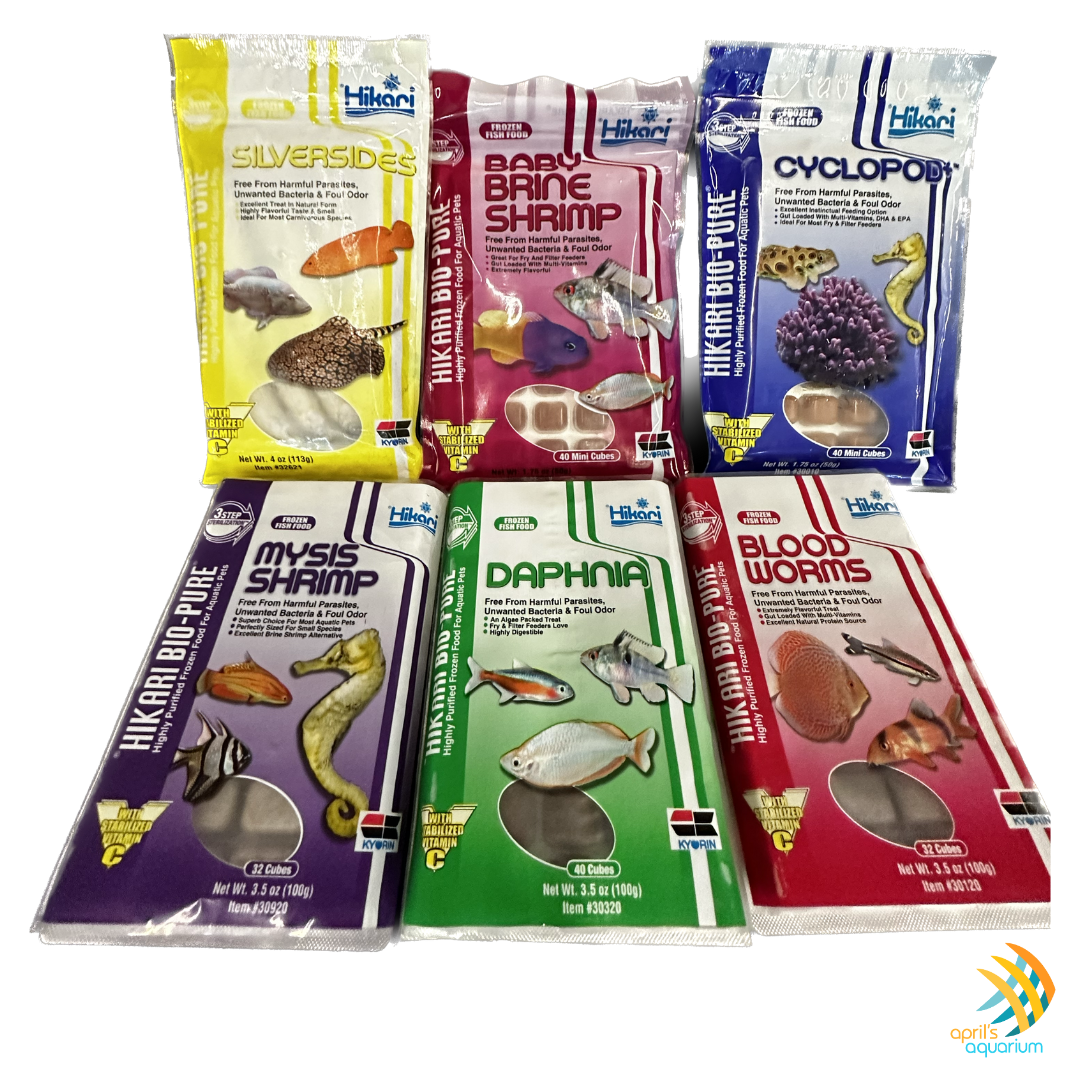 Hikari Frozen Brine Shrimp 3.5oz Cube | Livestock Food | Largest Tropical Fish Selection at Your Local Fish Store