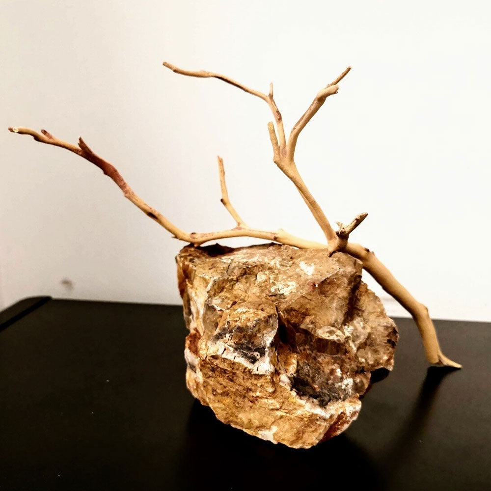 Tropica Manzanita Wood (per piece) | Substrates & Hardscape | Largest Tropical Fish Selection at Your Local Fish Store