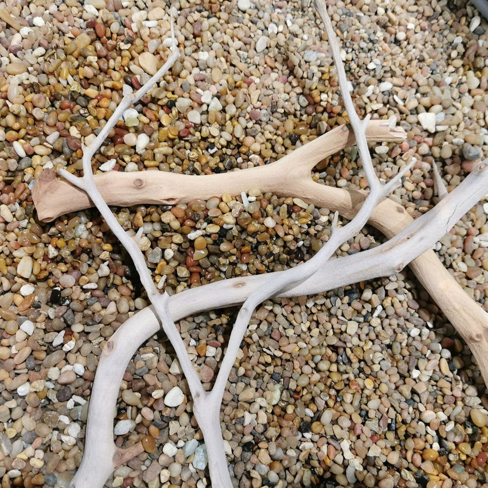 Tropica Manzanita Wood (per piece) | Substrates & Hardscape | Largest Tropical Fish Selection at Your Local Fish Store