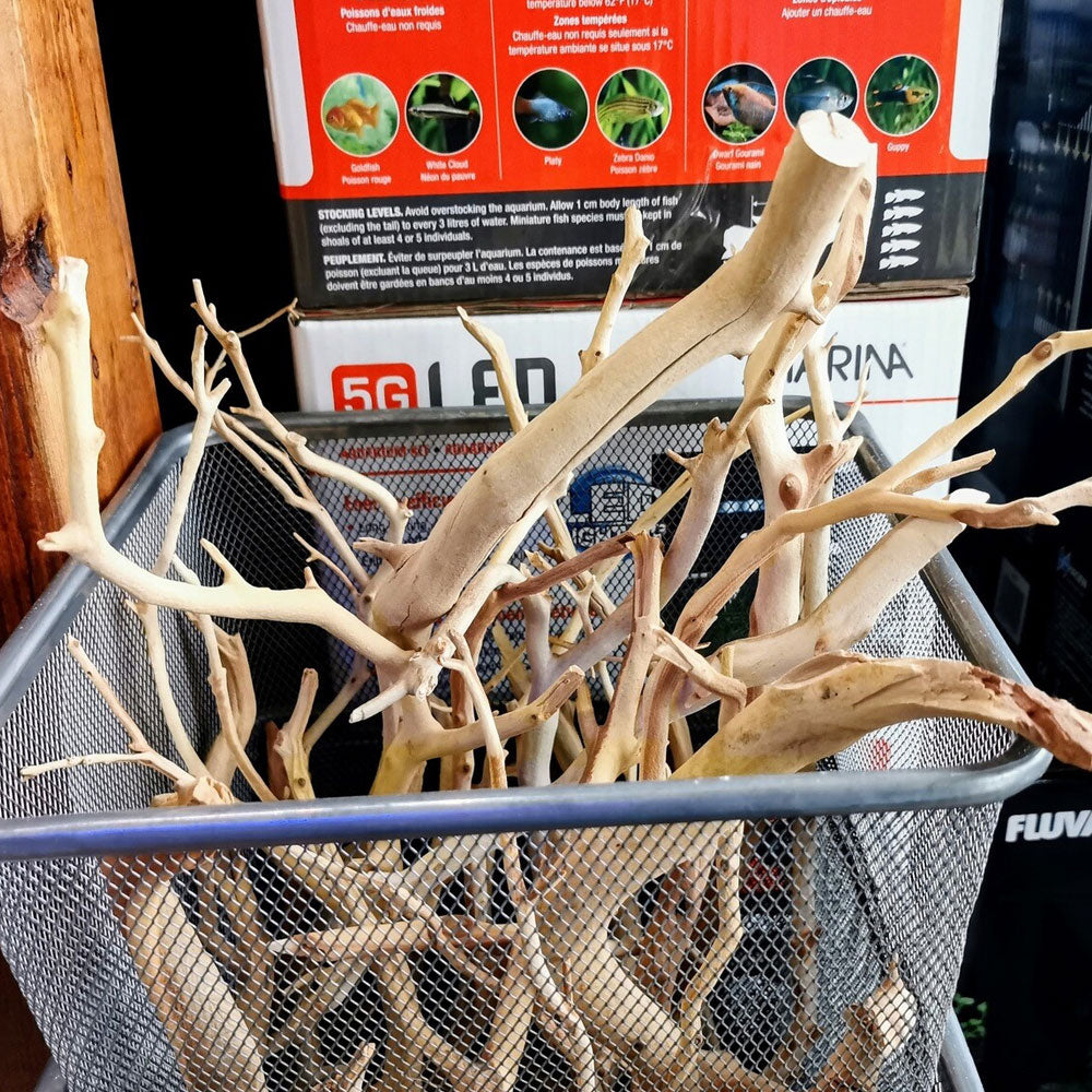 Tropica Manzanita Wood (per piece) | Substrates & Hardscape | Largest Tropical Fish Selection at Your Local Fish Store