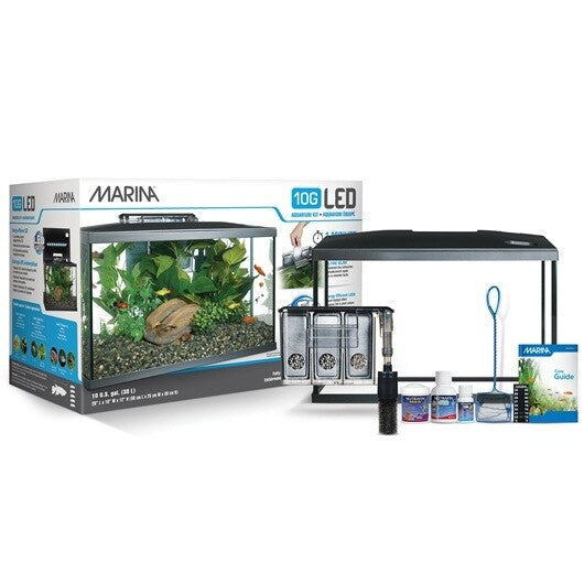 Marina 10 Gallon LED Aquarium Kit 15256 | Aquariums | Largest Tropical Fish Selection at Your Local Fish Store