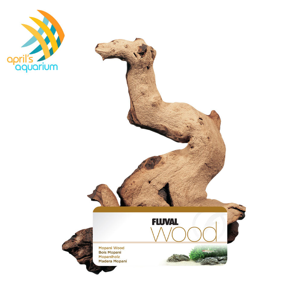 Mopani Drift Wood (Fluval) | Substrates & Hardscape | Largest Tropical Fish Selection at Your Local Fish Store