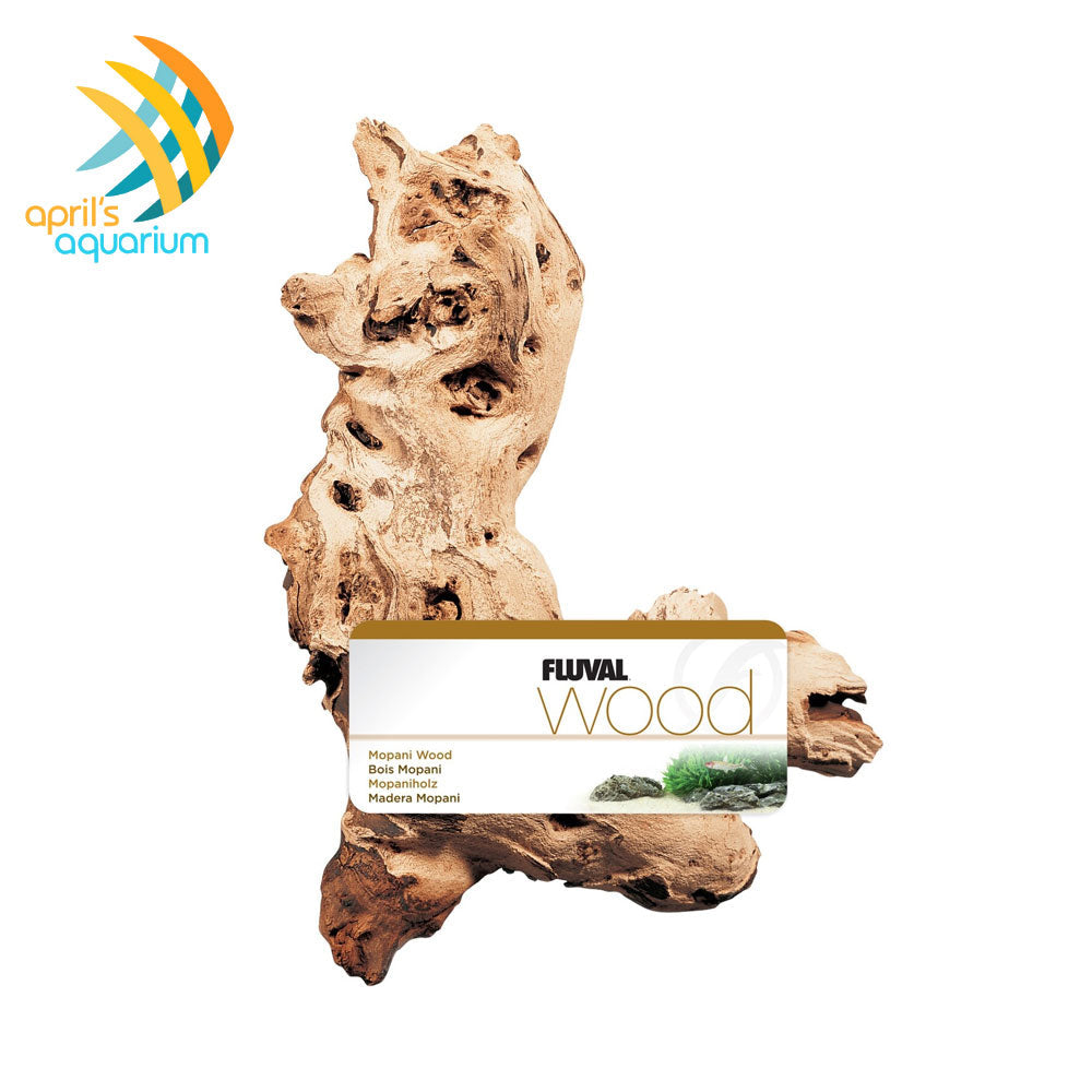 Mopani Drift Wood (Fluval) | Substrates & Hardscape | Largest Tropical Fish Selection at Your Local Fish Store