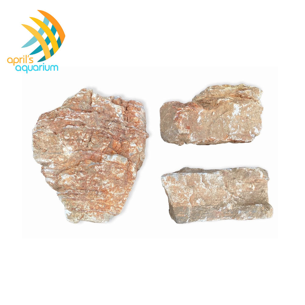 Red Melaleuca Stone / Maple Rock | Substrates & Hardscape | Largest Tropical Fish Selection at Your Local Fish Store