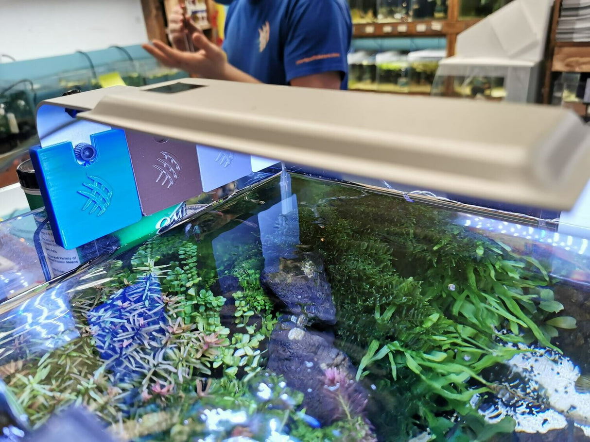 Your Local Fish Store Spec Light Fitting | Lighting & Heating | Largest Tropical Fish Selection at Your Local Fish Store
