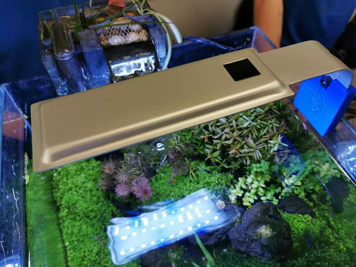 Your Local Fish Store Spec Light Fitting | Lighting & Heating | Largest Tropical Fish Selection at Your Local Fish Store